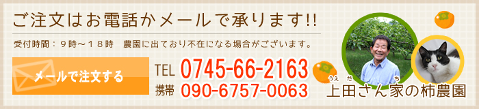 ご注文はお電話かメールで承ります！！