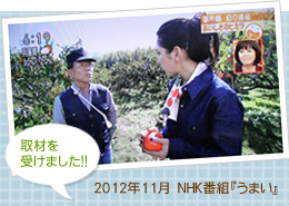 NHK番組「うまい」で取材を受けました
