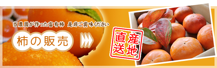 柿の販売